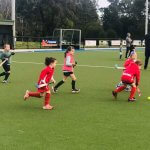 round 11 redlegs greenbottles under 9