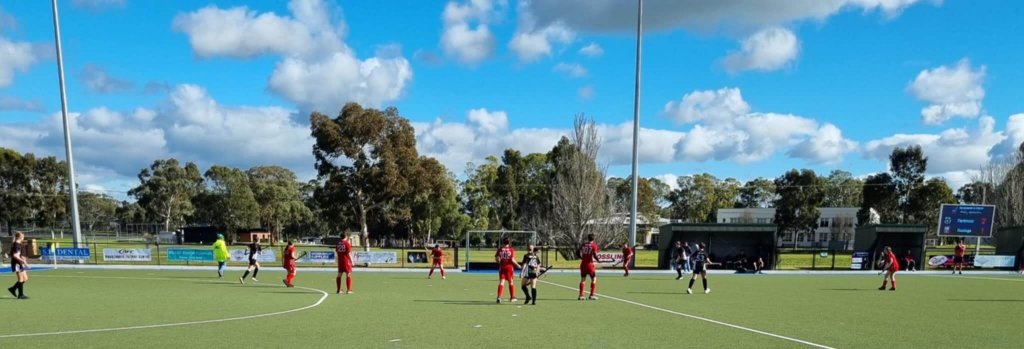 Dartmoor Redlegs Under 16 players
